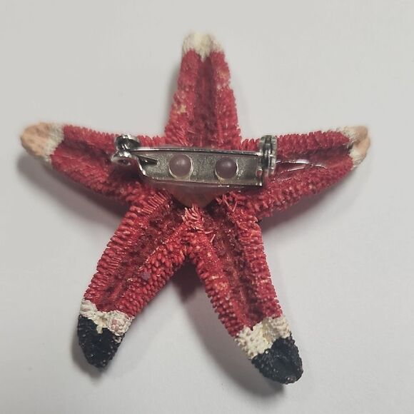 Hand Painted Starfish Brooch Santa Christmas Natural Dried - Picture 3 of 3